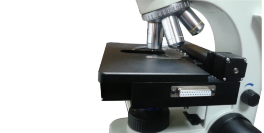 Microscope "Sorry Update website"